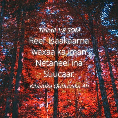 Picture 04 - Tirintii 1:8 SOM - Reer Isaakaarna waxaa ka iman Netaneel ina - Bible Verse Picture