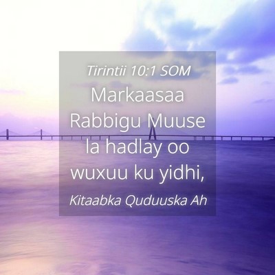 Picture 04 - Tirintii 10:1 SOM - Markaasaa Rabbigu Muuse la hadlay oo wuxuu ku - Bible Verse Picture