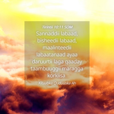 Picture 04 - Tirintii 10:11 SOM - Sannaddii labaad, bisheedii labaad, maalinteedii - Bible Verse Picture