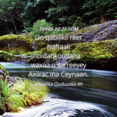 Picture 04 - Tirintii 10:27 SOM - Oo qabiilkii reer Naftaali ciidankoodana waxaa u - Bible Verse Picture
