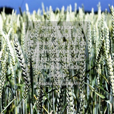 Picture 04 - Tirintii 10:3 SOM - Oo markii iyaga laga dhawaajiyo, ururka oo dhammu - Bible Verse Picture