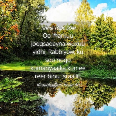 Picture 04 - Tirintii 10:36 SOM - Oo markuu joogsadayna wuxuu yidhi, Rabbiyow, ku - Bible Verse Picture