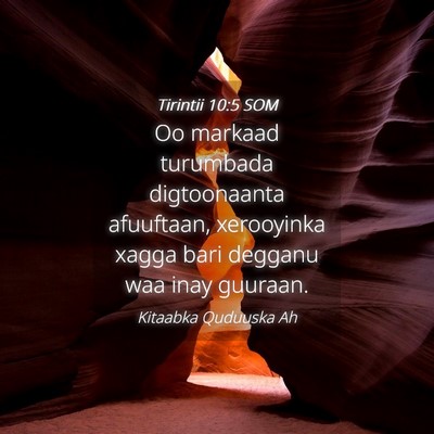 Picture 04 - Tirintii 10:5 SOM - Oo markaad turumbada digtoonaanta afuuftaan, - Bible Verse Picture