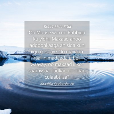 Picture 04 - Tirintii 11:11 SOM - Oo Muuse wuxuu Rabbiga ku yidhi, Maxaad anoo - Bible Verse Picture
