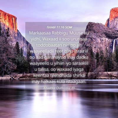 Picture 04 - Tirintii 11:16 SOM - Markaasaa Rabbigu Muuse ku yidhi, Waxaad ii soo - Bible Verse Picture