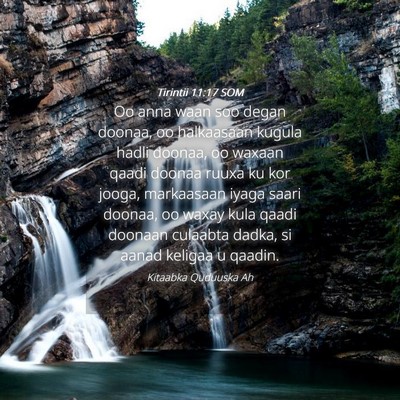 Picture 04 - Tirintii 11:17 SOM - Oo anna waan soo degan doonaa, oo halkaasaan - Bible Verse Picture