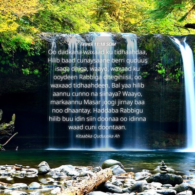Picture 04 - Tirintii 11:18 SOM - Oo dadkana waxaad ku tidhaahdaa, Hilib baad - Bible Verse Picture