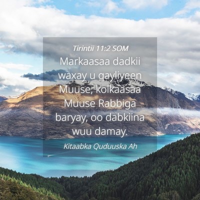 Picture 04 - Tirintii 11:2 SOM - Markaasaa dadkii waxay u qayliyeen Muuse, - Bible Verse Picture