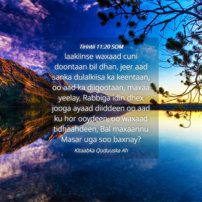 Picture 04 - Tirintii 11:20 SOM - laakiinse waxaad cuni doontaan bil dhan, jeer aad - Bible Verse Picture