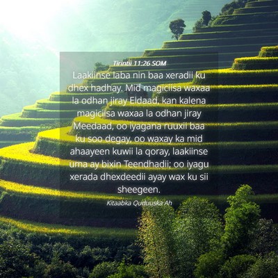 Picture 04 - Tirintii 11:26 SOM - Laakiinse laba nin baa xeradii ku dhex hadhay. - Bible Verse Picture