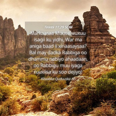 Picture 04 - Tirintii 11:29 SOM - Markaasaa Muuse wuxuu isagii ku yidhi, War ma - Bible Verse Picture