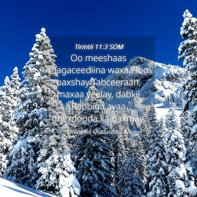 Picture 04 - Tirintii 11:3 SOM - Oo meeshaas magaceediina waxaa loo baxshay - Bible Verse Picture