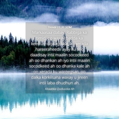 Picture 04 - Tirintii 11:31 SOM - Markaasaa dabayl Rabbiga ka timid, oo waxay badda - Bible Verse Picture