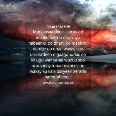Picture 04 - Tirintii 11:32 SOM - Markaasaa dadkii kacay oo maalintaas oo dhan, iyo - Bible Verse Picture