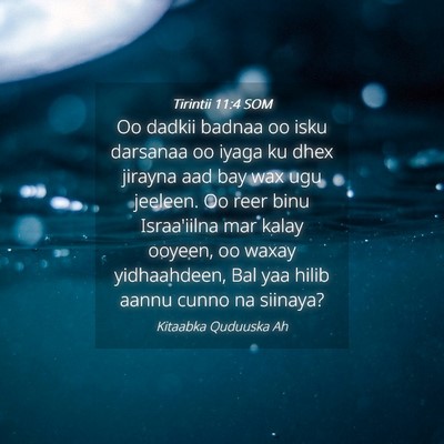 Picture 04 - Tirintii 11:4 SOM - Oo dadkii badnaa oo isku darsanaa oo iyaga ku - Bible Verse Picture