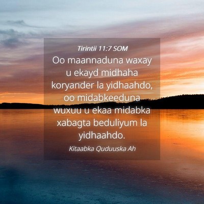Picture 04 - Tirintii 11:7 SOM - Oo maannaduna waxay u ekayd midhaha koryander la - Bible Verse Picture
