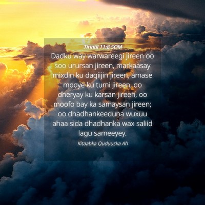 Picture 04 - Tirintii 11:8 SOM - Dadku way warwareegi jireen oo soo urursan - Bible Verse Picture
