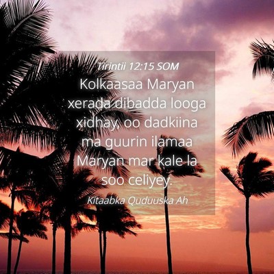 Picture 04 - Tirintii 12:15 SOM - Kolkaasaa Maryan xerada dibadda looga xidhay, oo - Bible Verse Picture