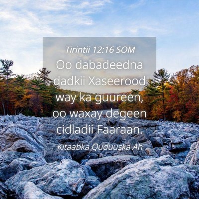 Picture 04 - Tirintii 12:16 SOM - Oo dabadeedna dadkii Xaseerood way ka guureen, oo - Bible Verse Picture