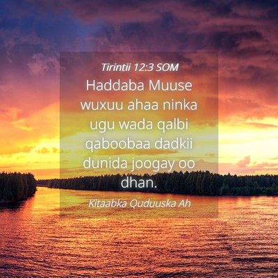 Picture 04 - Tirintii 12:3 SOM - Haddaba Muuse wuxuu ahaa ninka ugu wada qalbi - Bible Verse Picture