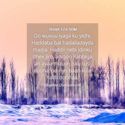 Picture 04 - Tirintii 12:6 SOM - Oo wuxuu iyagii ku yidhi, Haddaba bal - Bible Verse Picture