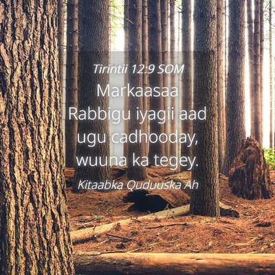 Picture 04 - Tirintii 12:9 SOM - Markaasaa Rabbigu iyagii aad ugu cadhooday, wuuna - Bible Verse Picture