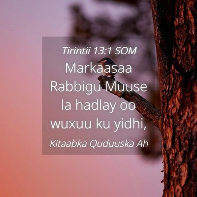 Picture 04 - Tirintii 13:1 SOM - Markaasaa Rabbigu Muuse la hadlay oo wuxuu ku - Bible Verse Picture