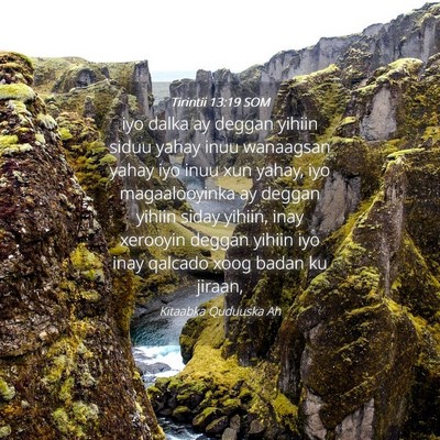Picture 04 - Tirintii 13:19 SOM - iyo dalka ay deggan yihiin siduu yahay inuu - Bible Verse Picture