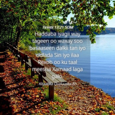 Picture 04 - Tirintii 13:21 SOM - Haddaba iyagii way tageen oo waxay soo basaaseen - Bible Verse Picture