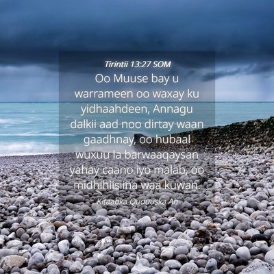 Picture 04 - Tirintii 13:27 SOM - Oo Muuse bay u warrameen oo waxay ku yidhaahdeen, - Bible Verse Picture