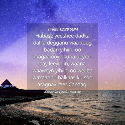 Picture 04 - Tirintii 13:28 SOM - Habase yeeshee dadka dalka degganu waa xoog badan - Bible Verse Picture