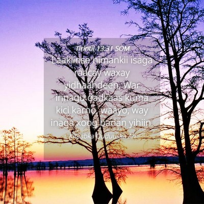 Picture 04 - Tirintii 13:31 SOM - Laakiinse nimankii isaga raacay waxay - Bible Verse Picture