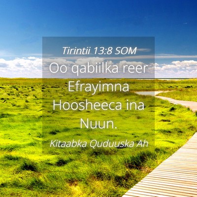 Picture 04 - Tirintii 13:8 SOM - Oo qabiilka reer Efrayimna Hoosheeca ina - Bible Verse Picture