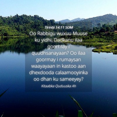Picture 04 - Tirintii 14:11 SOM - Oo Rabbigu wuxuu Muuse ku yidhi, Dadkanu ilaa - Bible Verse Picture