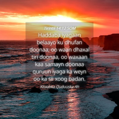 Picture 04 - Tirintii 14:12 SOM - Haddaba iyagaan belaayo ku dhufan doonaa, oo waan - Bible Verse Picture