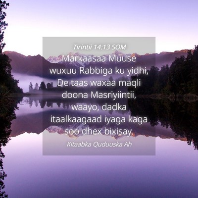 Picture 04 - Tirintii 14:13 SOM - Markaasaa Muuse wuxuu Rabbiga ku yidhi, De taas - Bible Verse Picture