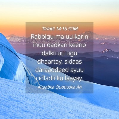 Picture 04 - Tirintii 14:16 SOM - Rabbigu ma uu karin inuu dadkan keeno dalkii uu - Bible Verse Picture