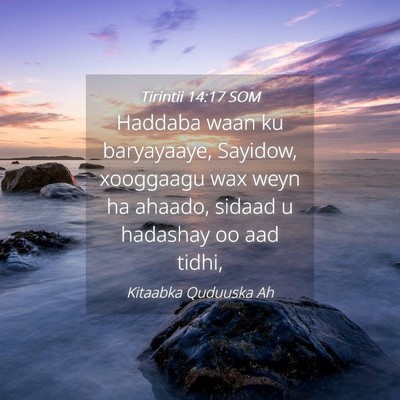 Picture 04 - Tirintii 14:17 SOM - Haddaba waan ku baryayaaye, Sayidow, xooggaagu - Bible Verse Picture