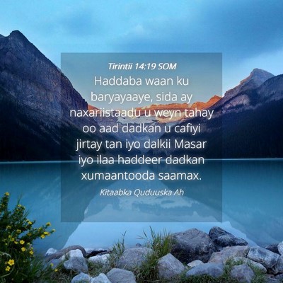 Picture 04 - Tirintii 14:19 SOM - Haddaba waan ku baryayaaye, sida ay naxariistaadu - Bible Verse Picture