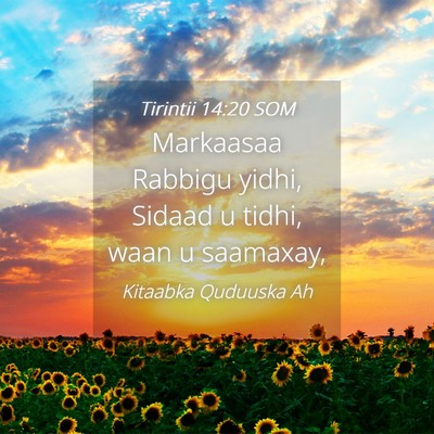 Picture 04 - Tirintii 14:20 SOM - Markaasaa Rabbigu yidhi, Sidaad u tidhi, waan u - Bible Verse Picture