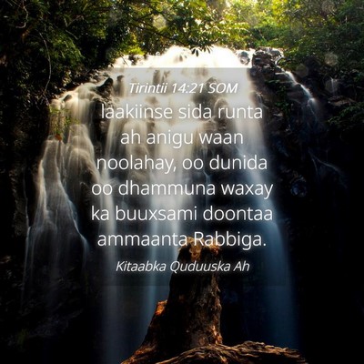 Picture 04 - Tirintii 14:21 SOM - laakiinse sida runta ah anigu waan noolahay, oo - Bible Verse Picture