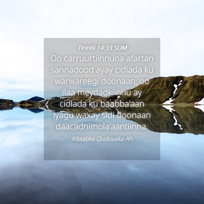 Picture 04 - Tirintii 14:33 SOM - Oo carruurtiinnuna afartan sannadood ayay cidlada - Bible Verse Picture