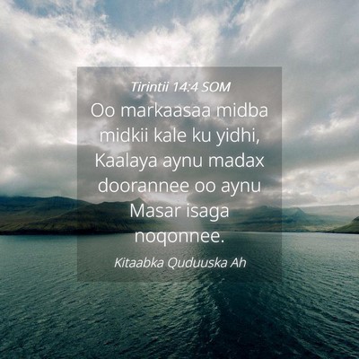 Picture 04 - Tirintii 14:4 SOM - Oo markaasaa midba midkii kale ku yidhi, Kaalaya - Bible Verse Picture