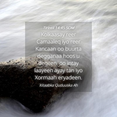 Picture 04 - Tirintii 14:45 SOM - Kolkaasay reer Camaaleq iyo reer Kancaan oo - Bible Verse Picture