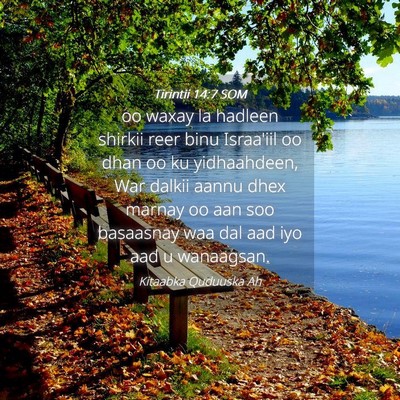Picture 04 - Tirintii 14:7 SOM - oo waxay la hadleen shirkii reer binu Israa'iil - Bible Verse Picture