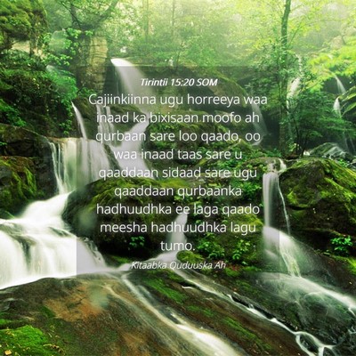 Picture 04 - Tirintii 15:20 SOM - Cajiinkiinna ugu horreeya waa inaad ka bixisaan - Bible Verse Picture