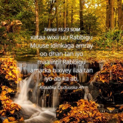 Picture 04 - Tirintii 15:23 SOM - xataa wixii uu Rabbigu Muuse idinkaga amray oo - Bible Verse Picture