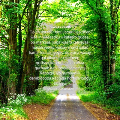 Picture 04 - Tirintii 15:25 SOM - Oo shirka reer binu Israa'iil oo dhan waa in - Bible Verse Picture