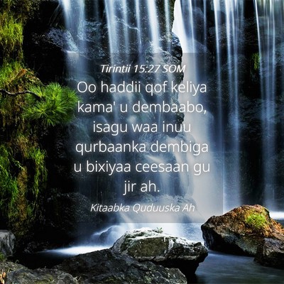 Picture 04 - Tirintii 15:27 SOM - Oo haddii qof keliya kama' u dembaabo, isagu waa - Bible Verse Picture