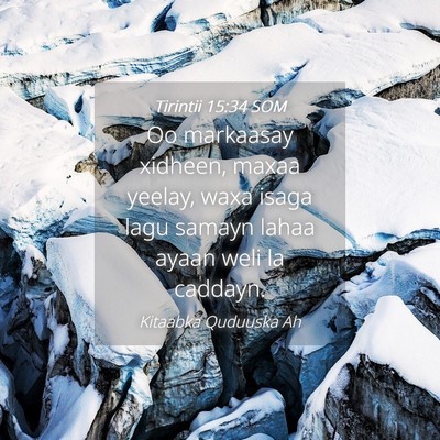 Picture 04 - Tirintii 15:34 SOM - Oo markaasay xidheen, maxaa yeelay, waxa isaga - Bible Verse Picture